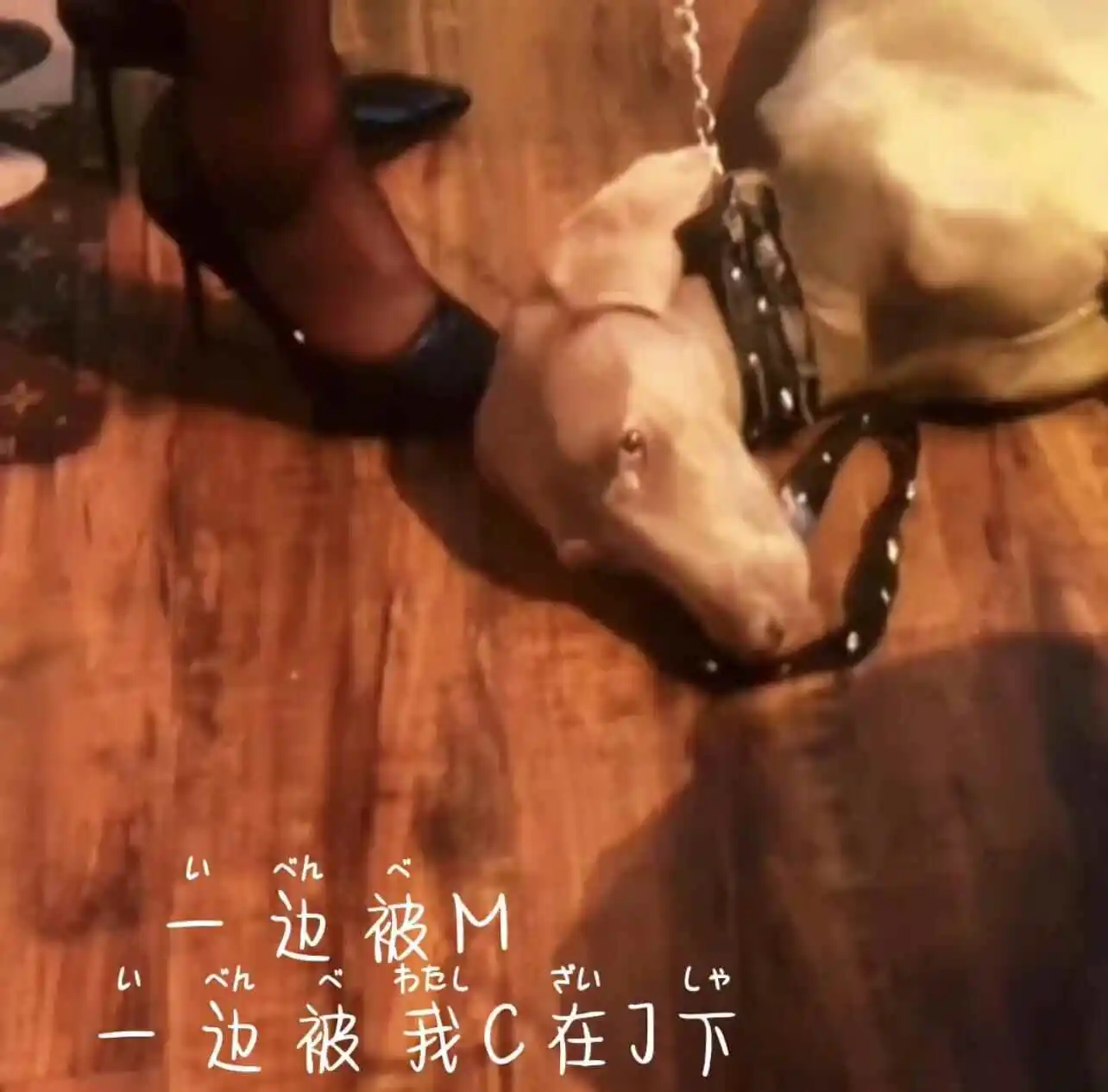 西檬之家-字母圈S角色入门指南：从施虐者基础到关系建立