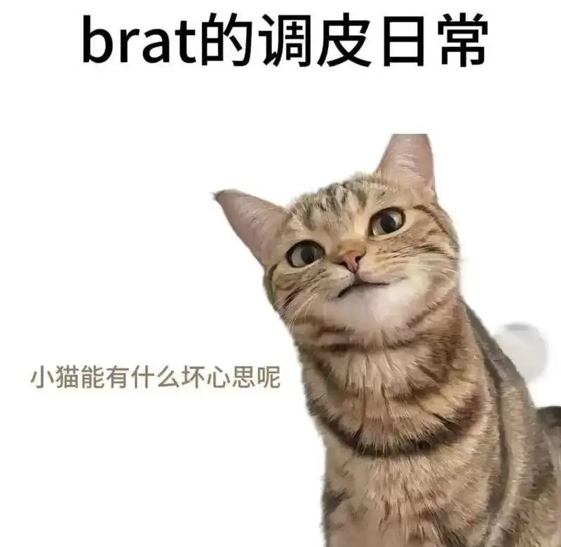西檬之家-PE是什么？BDSM权力交换的深度解析