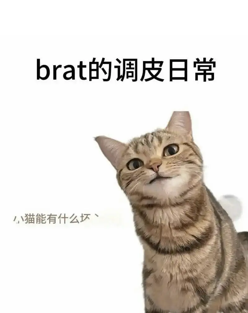 【西檬之家】DS关系解析：字母圈新人如何建立信任与边界