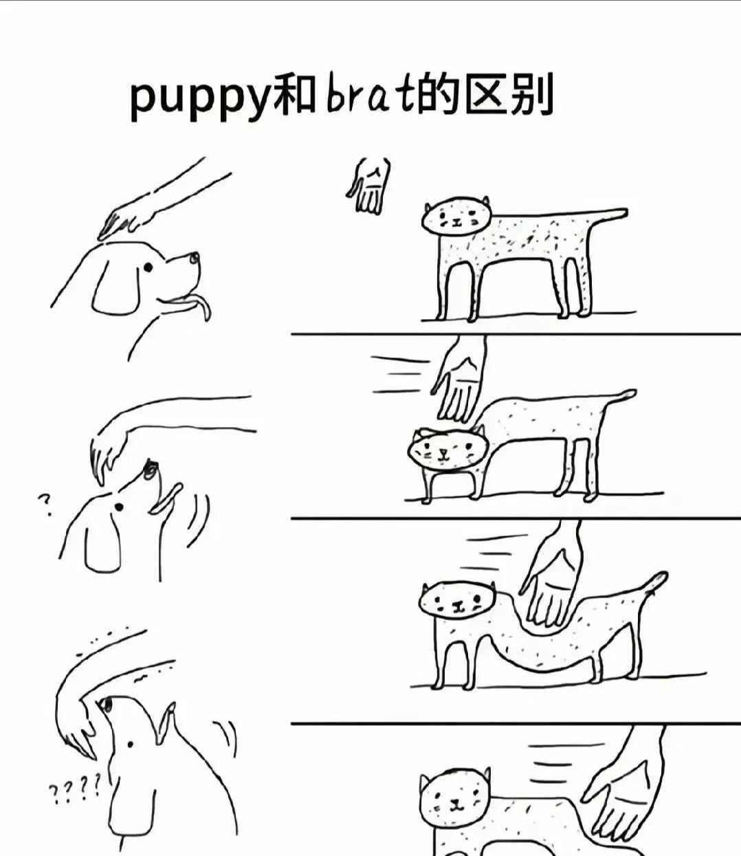 【西檬之家】字母圈的aftercare：BDSM实践后的心理修复指南