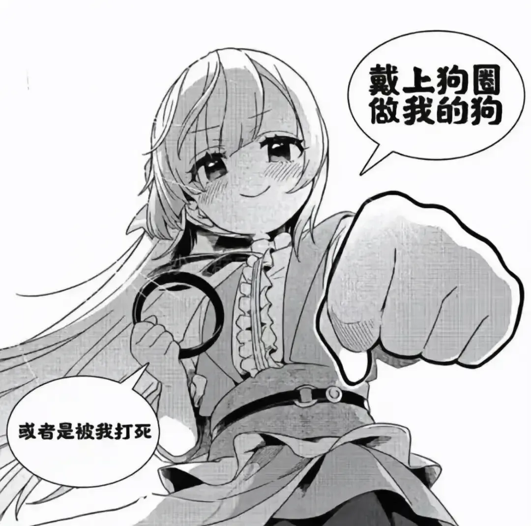 k9是什么：实用指南