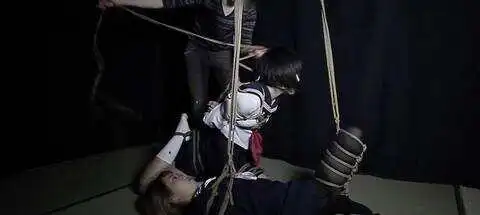西檬之家-BDSM Sub是什么意思？