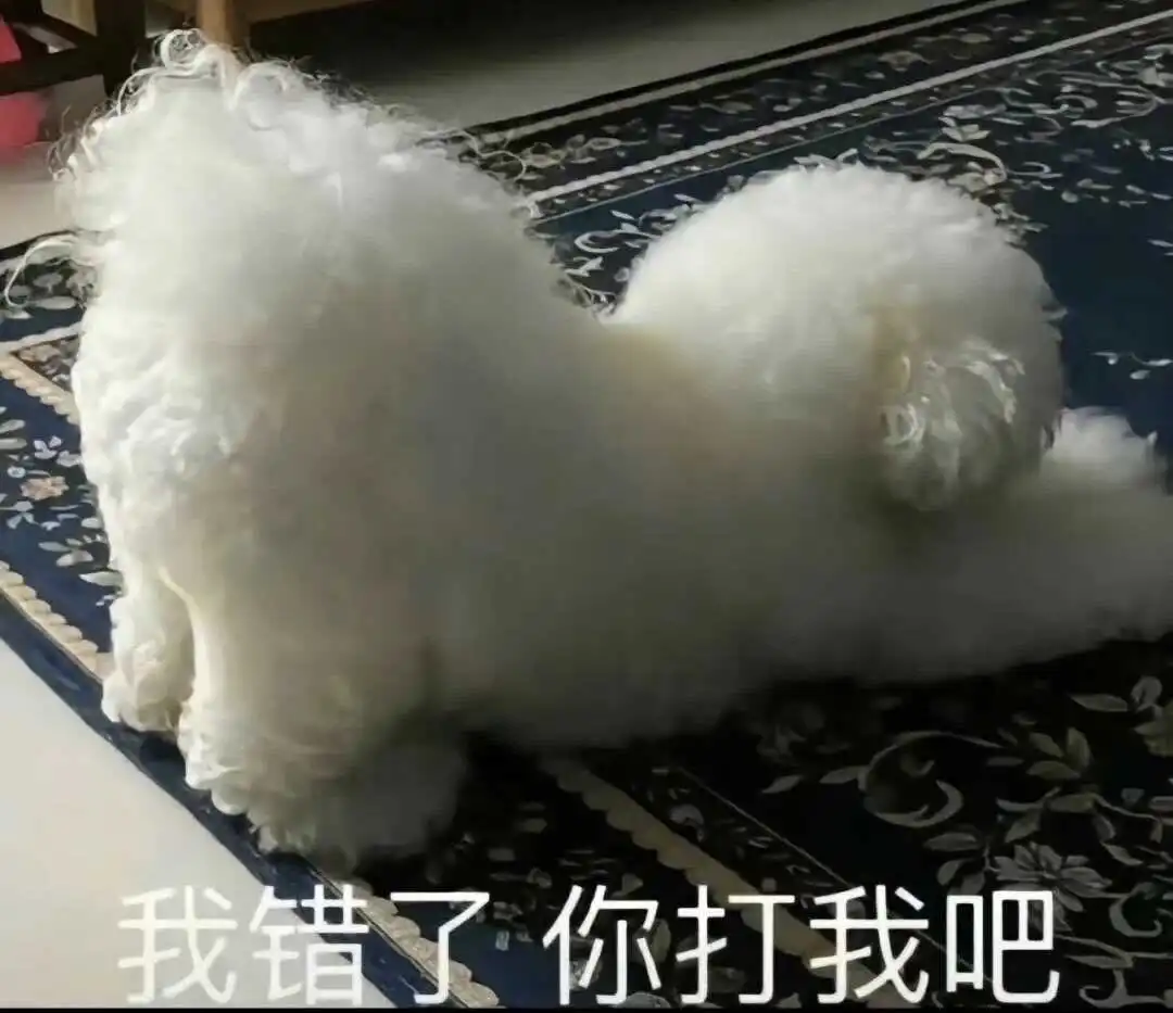 西檬之家-字母圈的践踏癖是什么？(基于同意与信任的关系动态)
