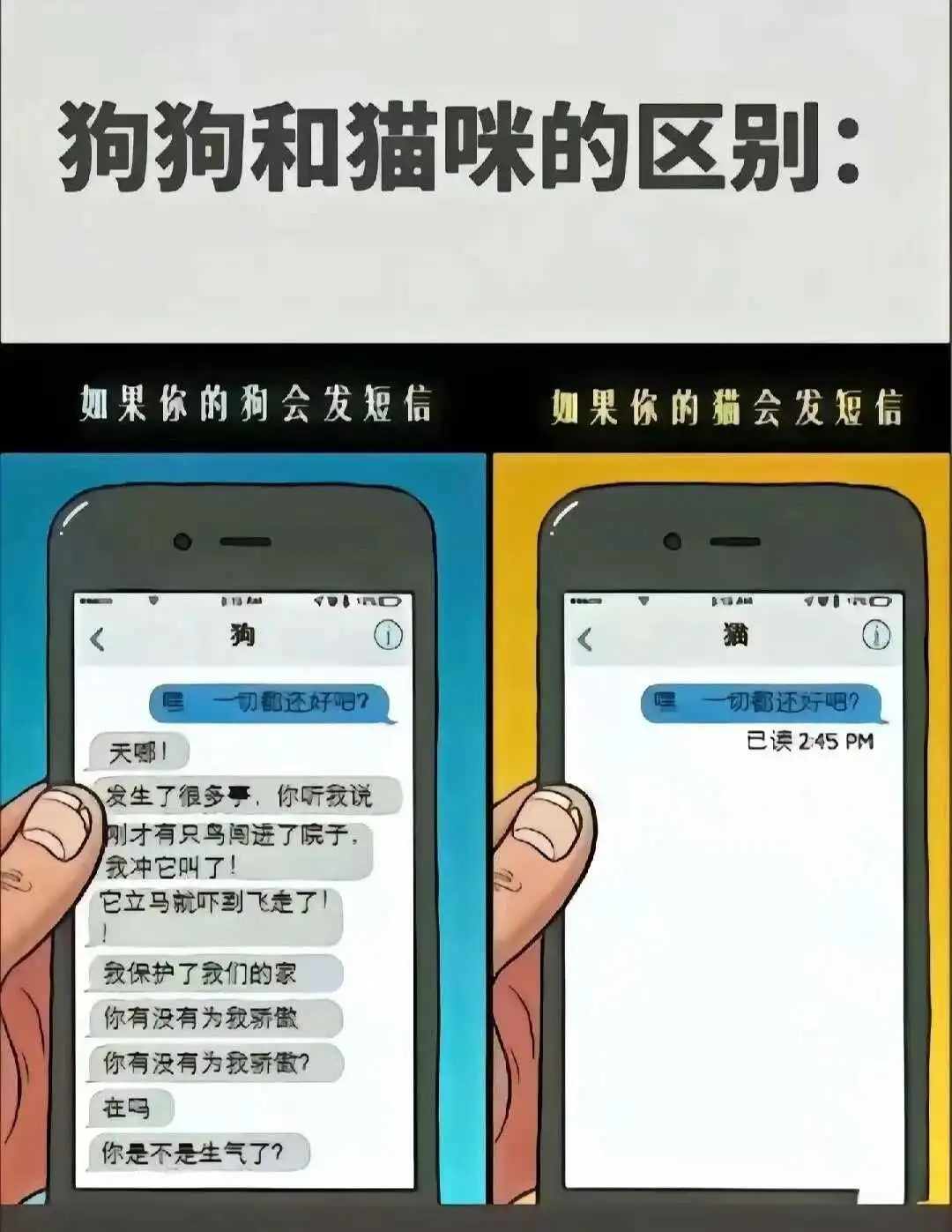 【西檬之家】字母圈的Dom是什么意思？新人权威指南