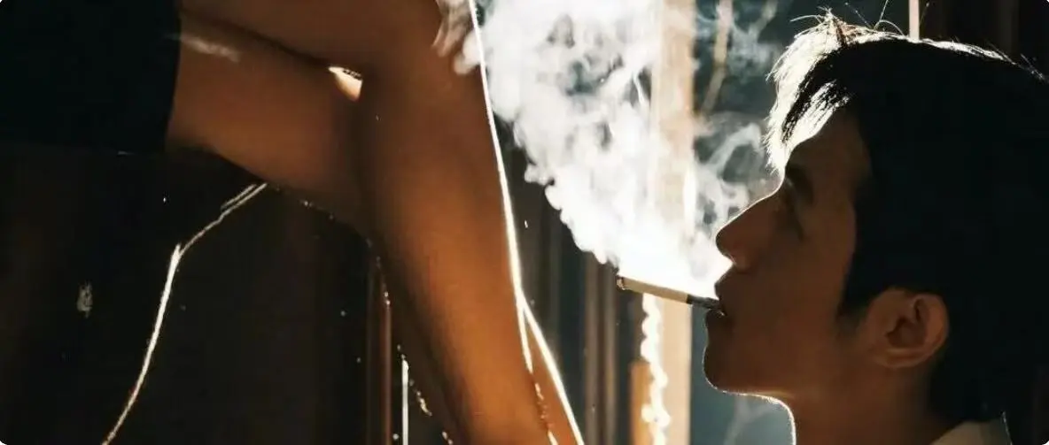 【西檬之家】字母圈新人指南：K9是什么