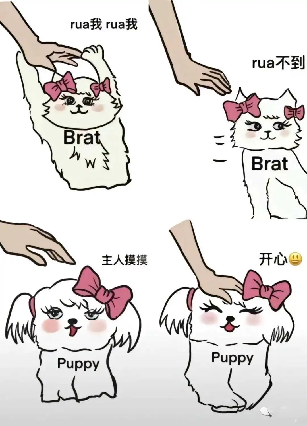【西檬之家】斯慕圈新人入圈指南：从术语到安全共识