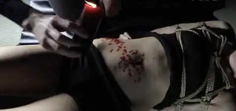 西檬之家-字母圈BDSM核心术语解析